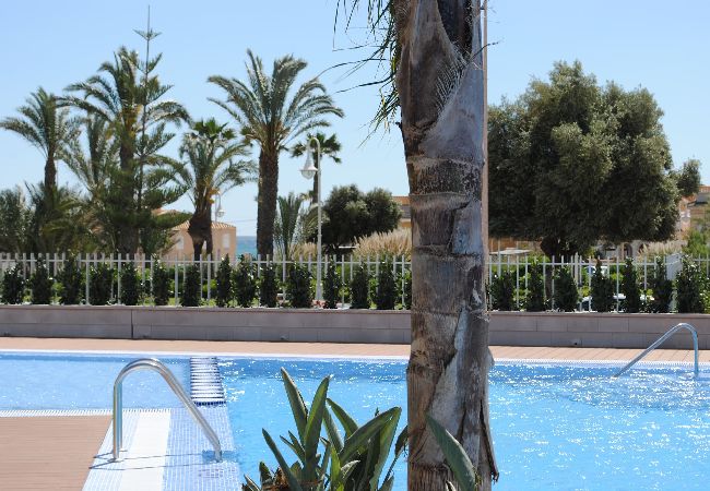 Apartamento en La Mata - aq3b1d Apartamento en La Mata - aq3b1d