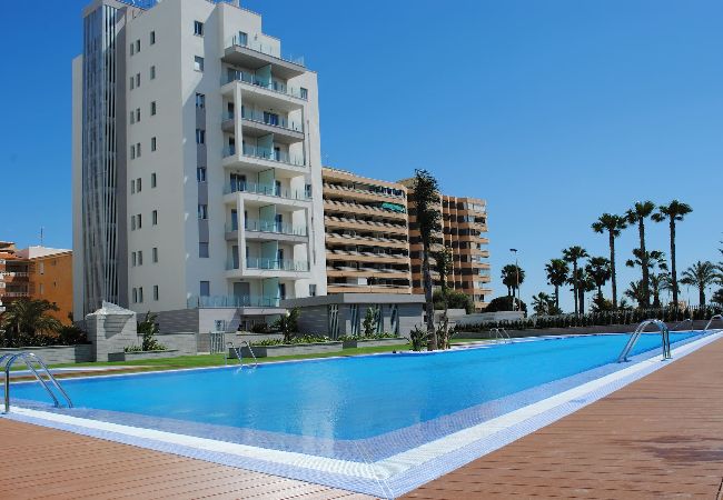 Apartamento en La Mata - aq3b1d Apartamento en La Mata - aq3b1d