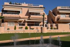 Apartamento en Torrevieja - Apartment Penthouse Navasaez Spa Resort con solárium privadoPunta Prima