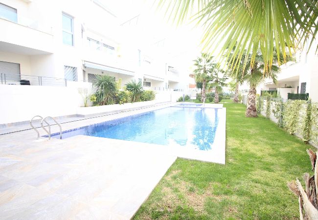 Apartamento en Torrevieja - amalia23 Apartamento en Torrevieja - amalia23