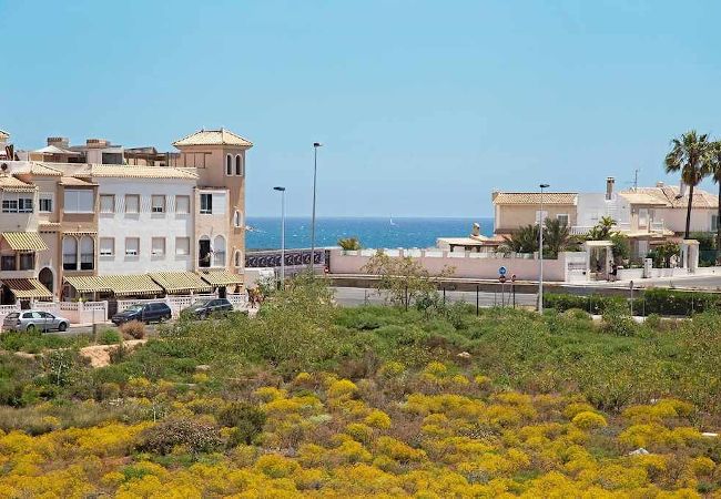 Apartamento en Torrevieja - amalia23 Apartamento en Torrevieja - amalia23