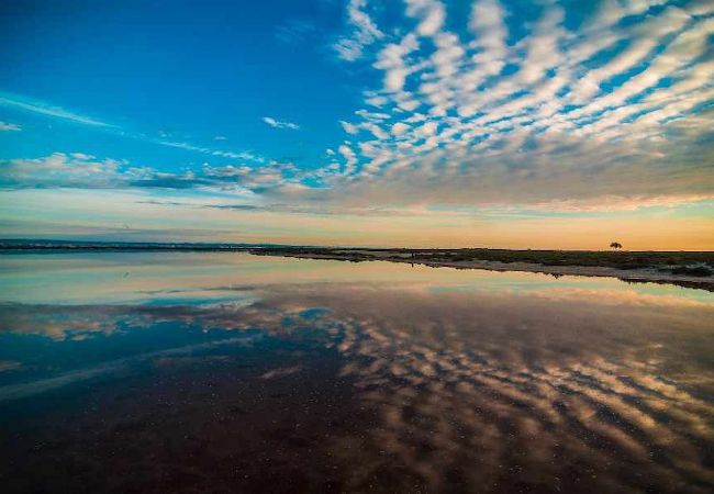 Apartamento en San Pedro del Pinatar - lopagan205 Apartamento en San Pedro del Pinatar - lopagan205