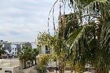 Apartamento en La Zenia - Penthouse Zenia Beach La Zenia 