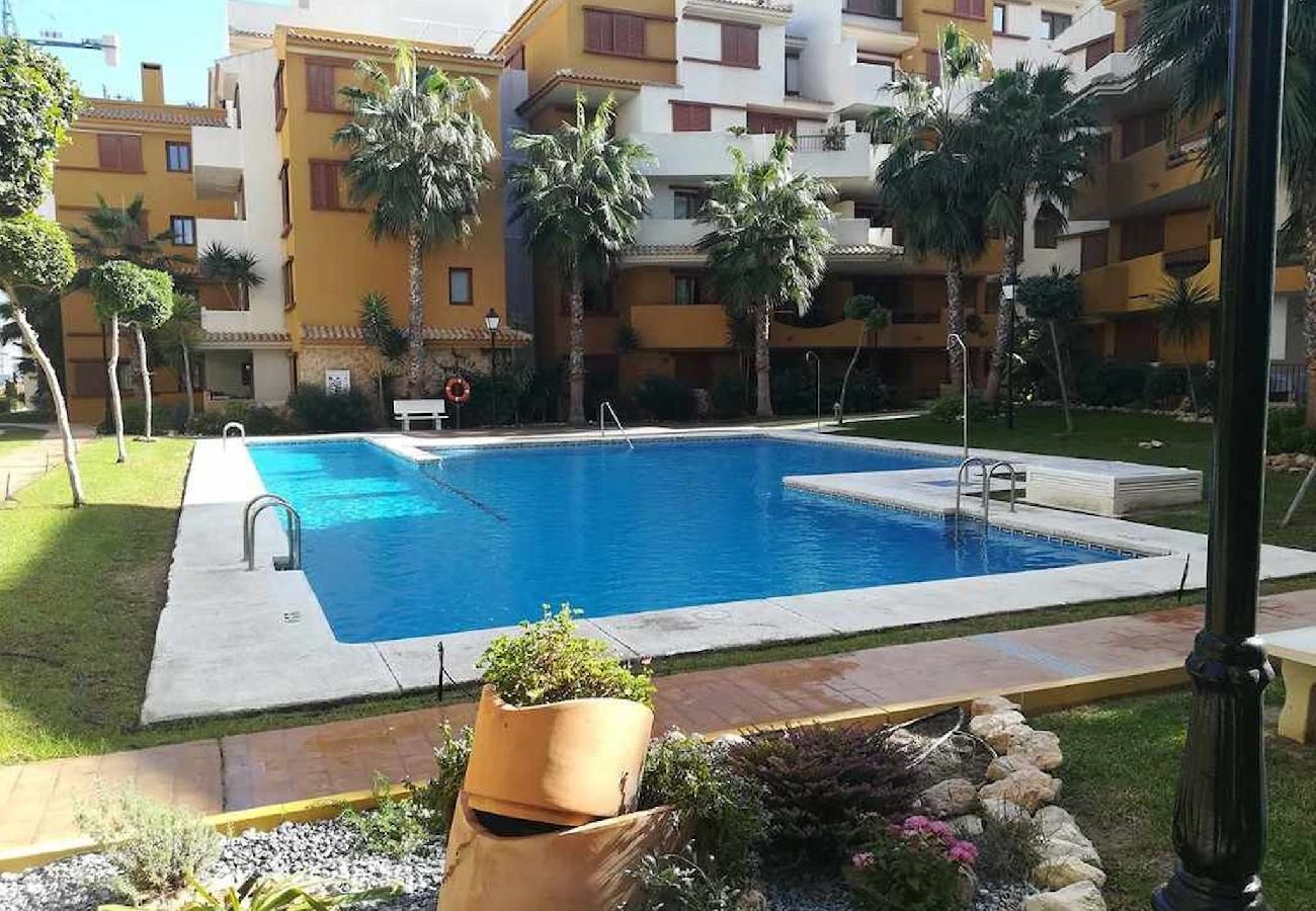 Apartamento en Torrevieja - Planta baja Recoleta Punta prima 