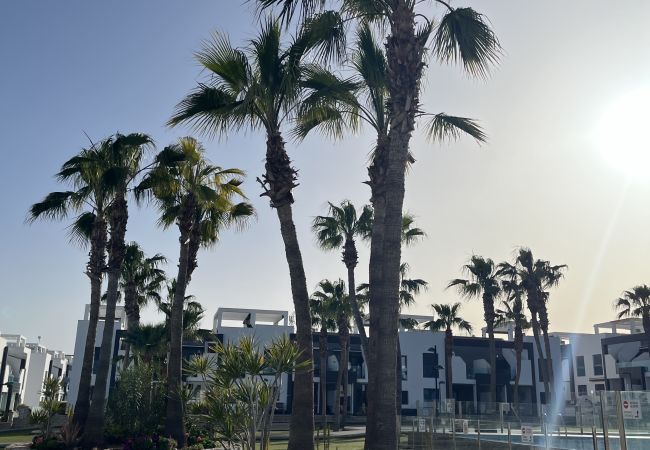 Apartamento en La Zenia - f2074 Apartamento en La Zenia - f2074