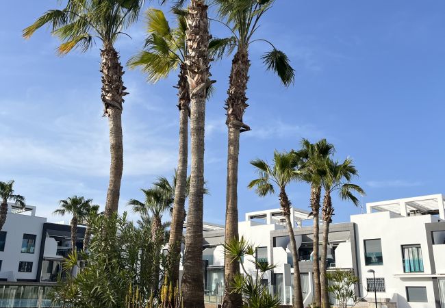 Apartamento en La Zenia - f2074 Apartamento en La Zenia - f2074