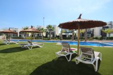 Apartamento en Torrevieja - Apartamento Tindra