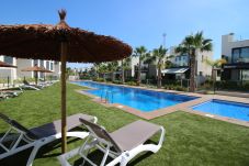 Apartamento en Torrevieja - Apartamento Tindra