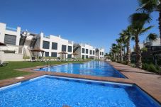 Apartamento en Torrevieja - Apartamento Tindra