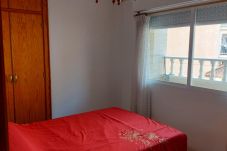 Apartamento en La Mata - Apartament Mayor