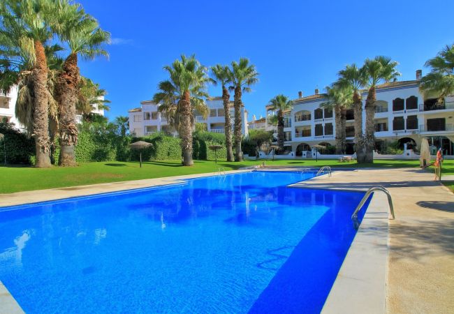 Apartamento en Villamartín - Apartamento Villamartin Plaza, Orihuela Costa 