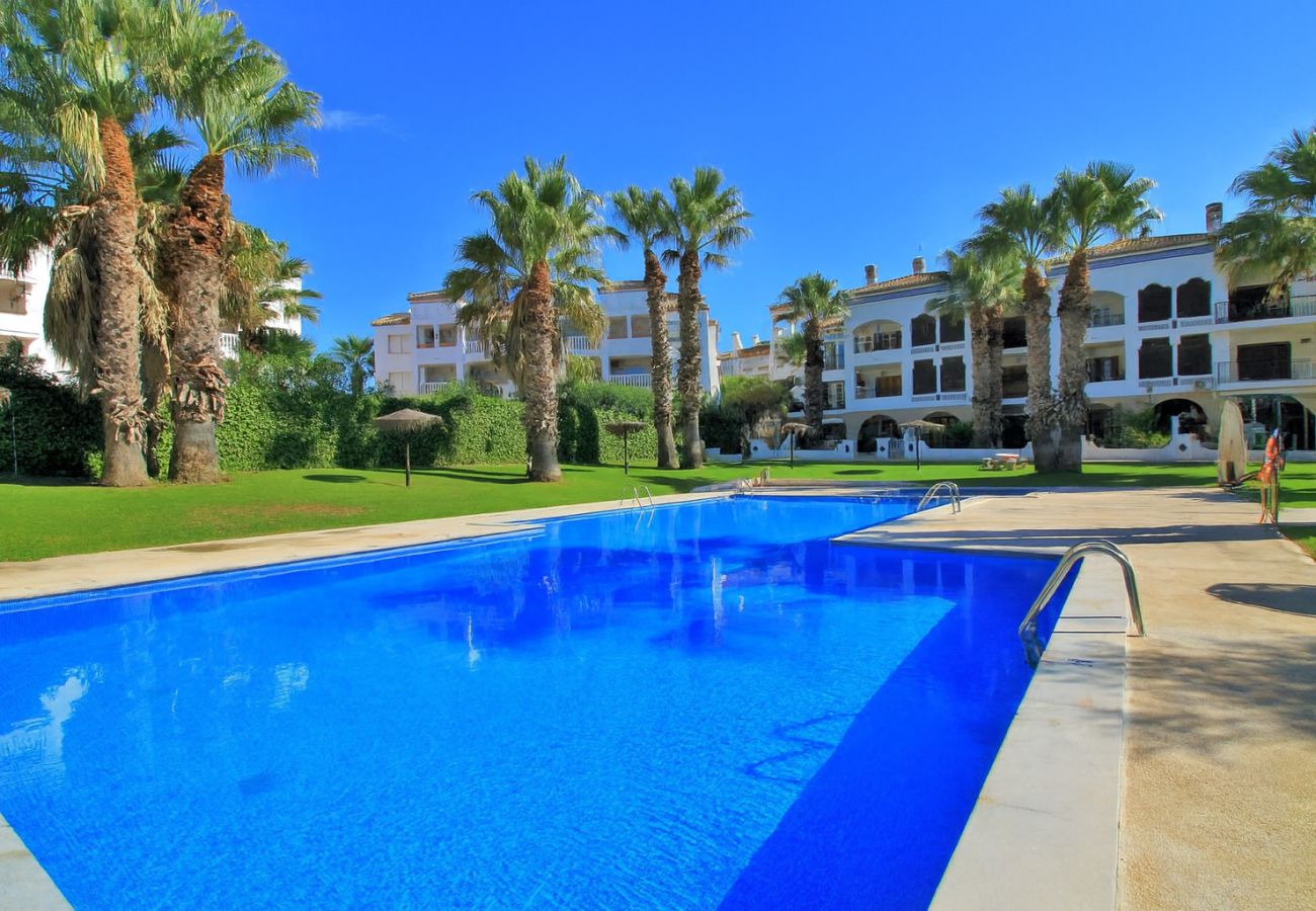 Apartamento en Villamartín - Apartamento Villamartin Plaza, Orihuela Costa 