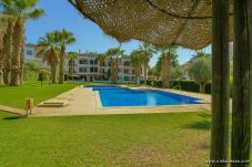 Apartamento en Villamartín - Apartamento Villamartin Plaza, Orihuela Costa 