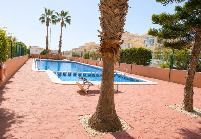 Apartamento en Torrevieja - Apartamento CINUELICA - Punta Prima 2dorm