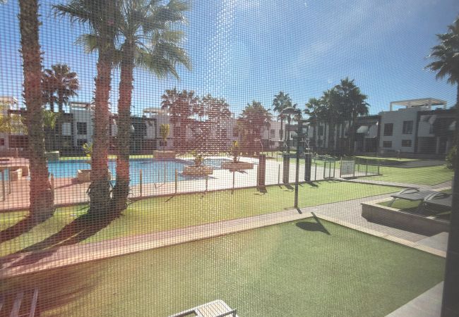 Apartamento en La Zenia - Planta Baja Oasis beach IV la zenia 