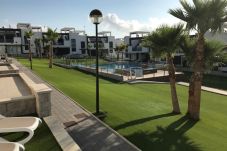 Apartment in Torrevieja - f9017