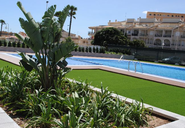 La Mata - Apartment