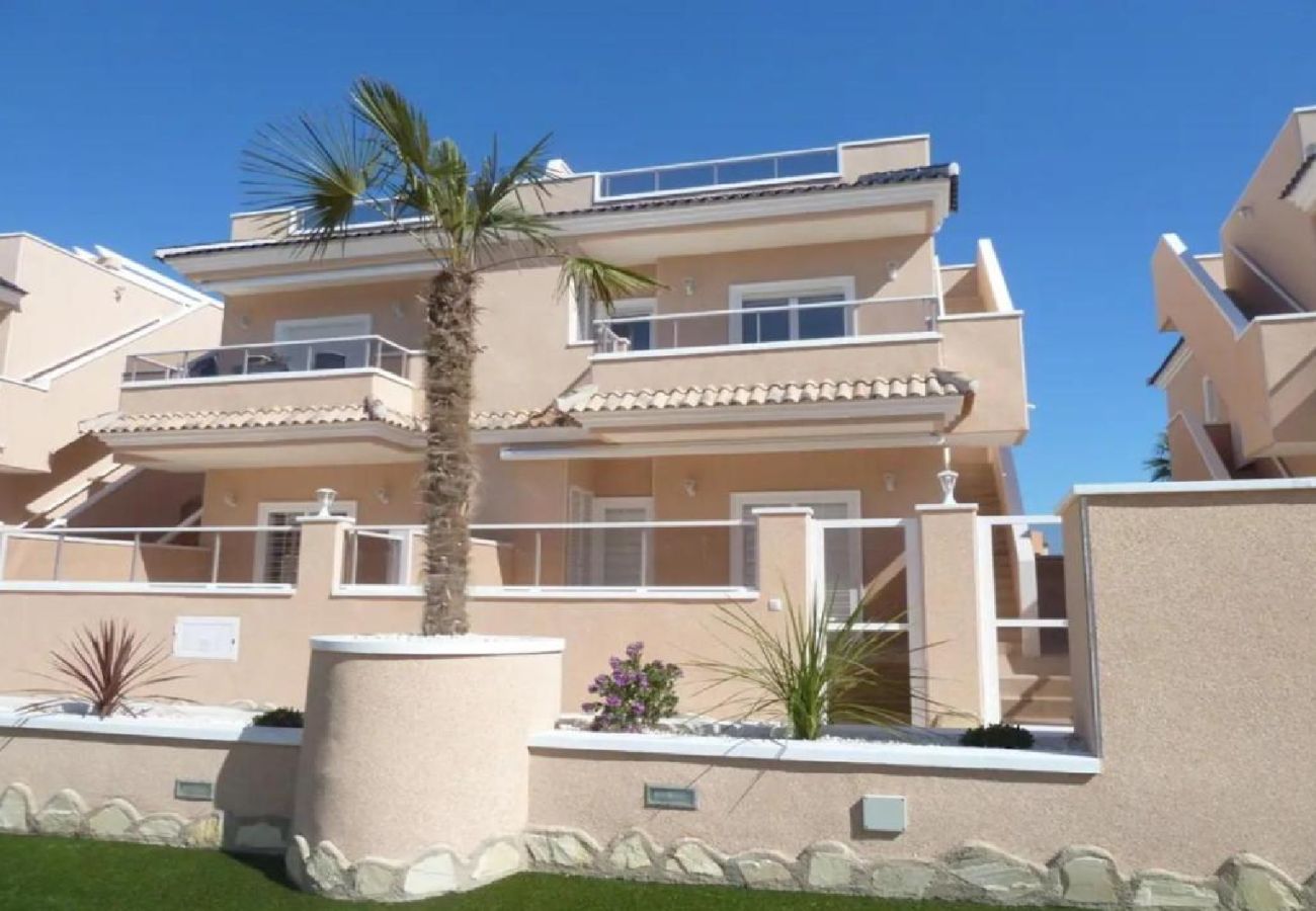 Apartment in Torrevieja - nava26c