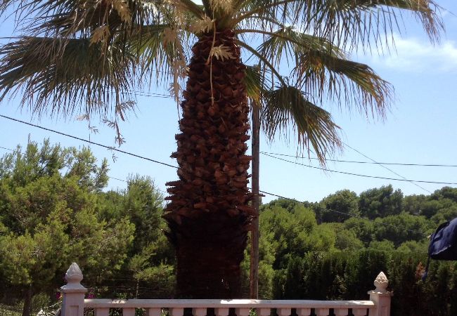 Apartment in Orihuela Costa - golf2 Apartment in Orihuela Costa - golf2