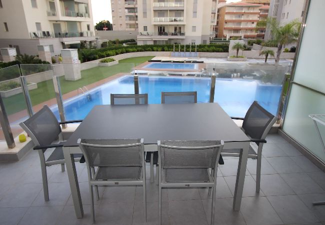 Apartment in La Mata - aq41c Apartment in La Mata - aq41c