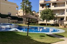 Apartment in Orihuela Costa - Apto. Bajo Jardin D'alba campoamor