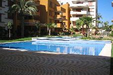 Apartment in Torrevieja - Groundfloor Recoleta Punta prima 