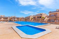Apartment in Torrevieja - Apartment Groundfloor Navasaez Punta Prima