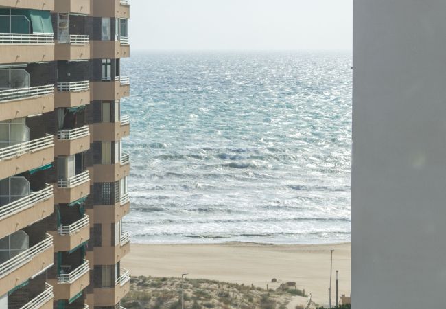 Apartment in La Mata - aq27d Apartment in La Mata - aq27d
