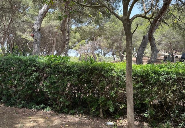 Villa/Dettached house in Orihuela Costa - Apartment Golf Las Ramblas