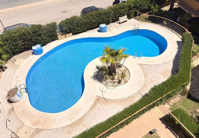 Apartment in Torrevieja - Penthouse  Recoleta, Punta prima, Orihuela Costa 