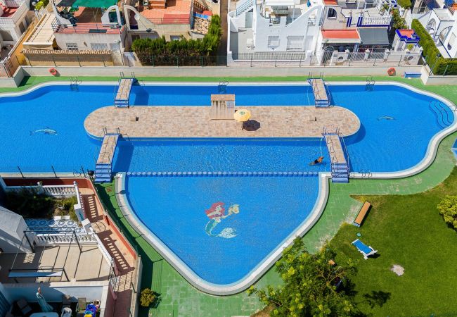 House in Torrevieja - Apartment Ground floor Doña Ines Torrevieja
