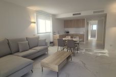 Apartment in Torrevieja - Penthouse Punta Prima BR3 Valonia 