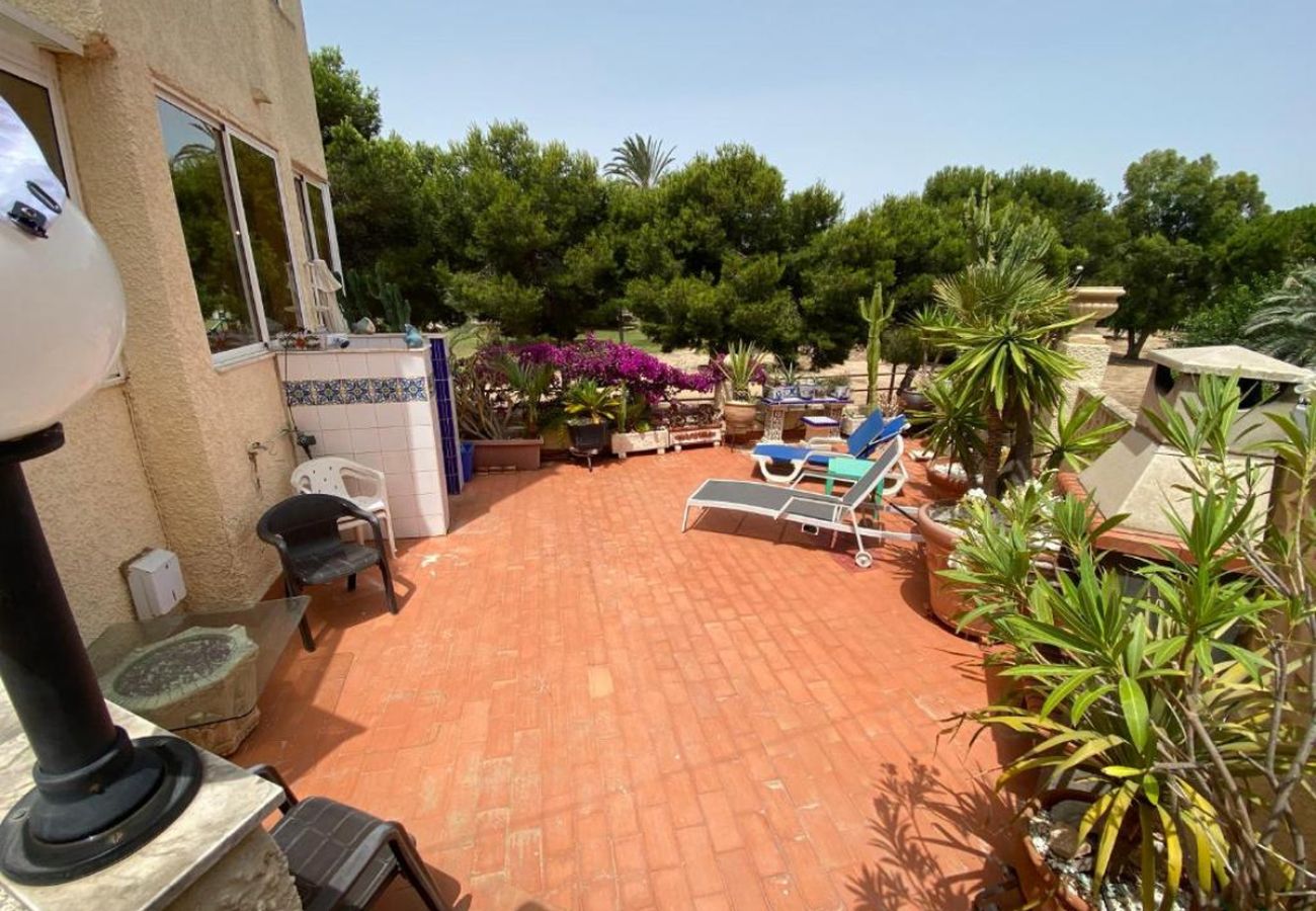 Apartment in Orihuela Costa - Apartment La Zenia BR3